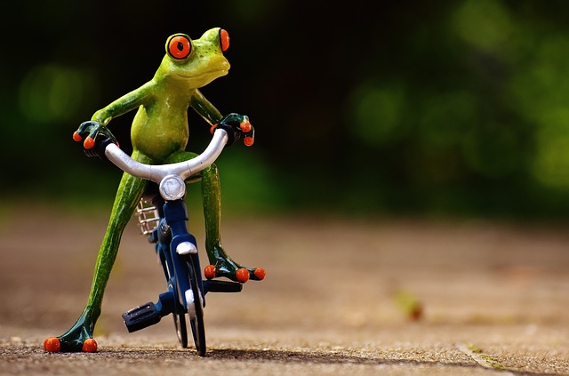 bicycles