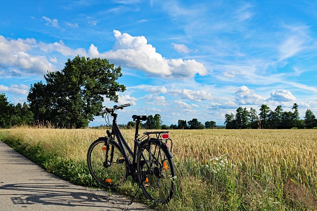 bicycle