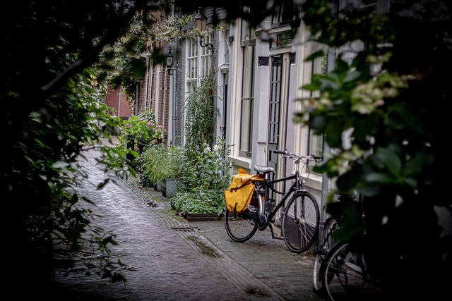 bicycle