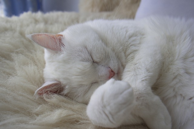 sleep